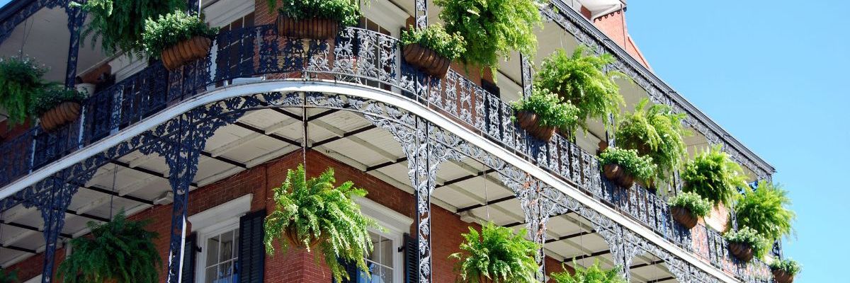 Best Local Spots In New Orleans
